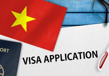 Visa Application